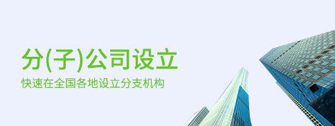 分(子)公司設立 分(子)公司設立